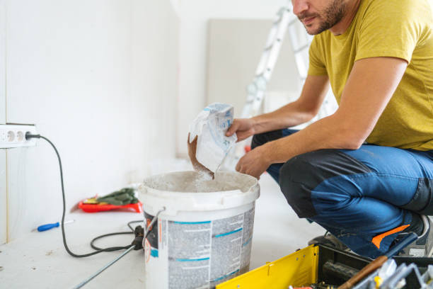 Best Ceiling Drywall Installation  in Lake Ripley, WI